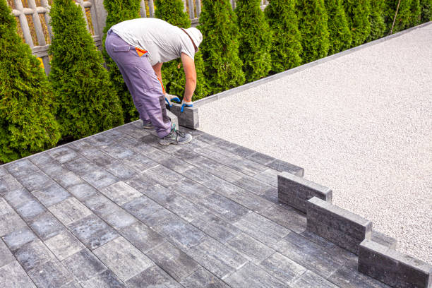 Best Driveway Paving Near Me  in Stony Point, MI