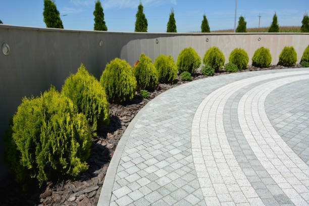 Reasons to Select Us for Your Driveway Paving Requirements in Stony Point, MI