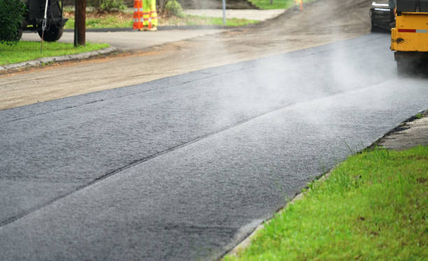 Best Custom Driveway Pavers  in Stony Point, MI